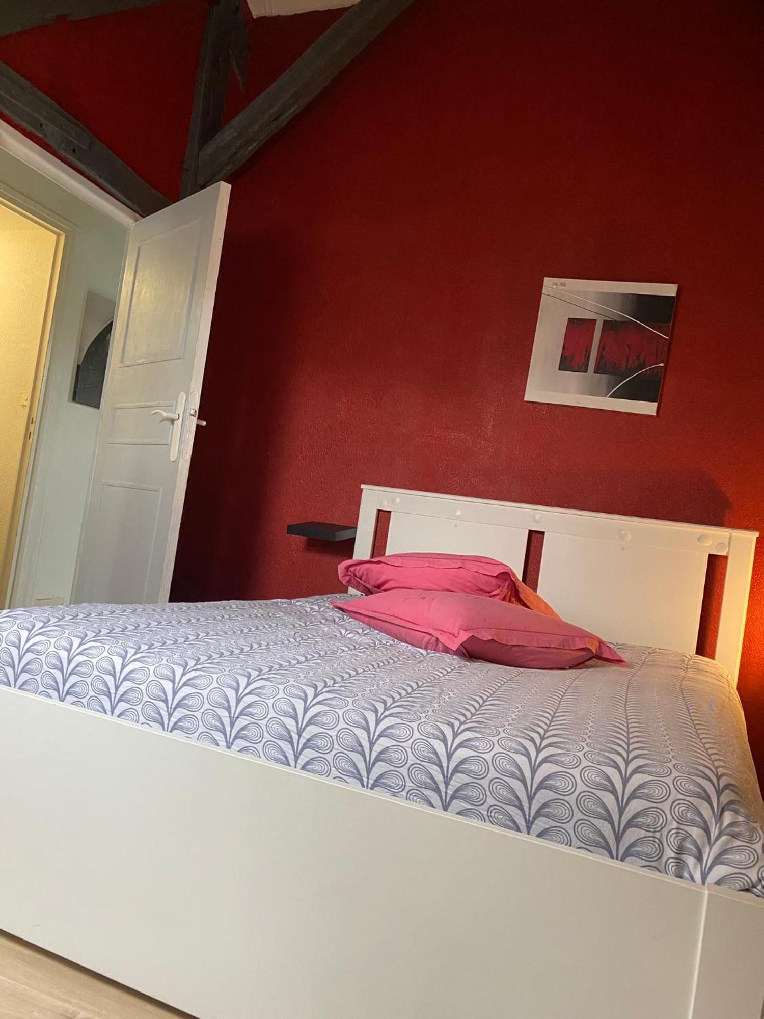 Charmant Duplex Rue Colbert Apartment ตูร์ ภายนอก รูปภาพ